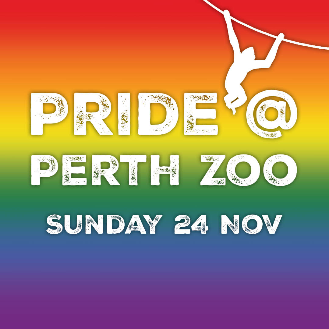 PRIDE AT PERTH ZOO