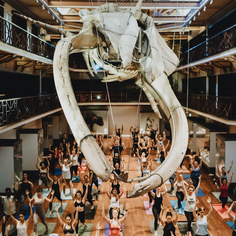 Yoga At The Museum